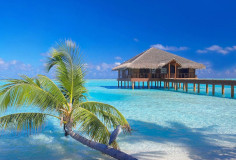 Maldives